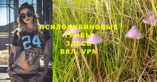 ALPHA PVP Арсеньев