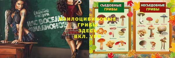 ALPHA PVP Арсеньев