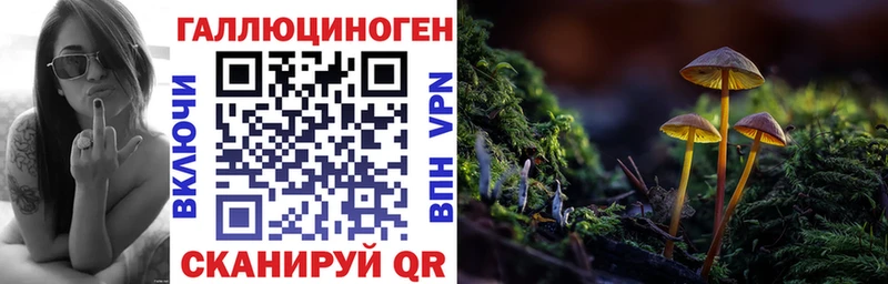 Псилоцибиновые грибы MAGIC MUSHROOMS  Талица 